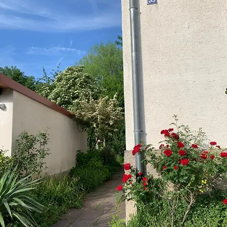Apartment Wohnung Maienbuehl
